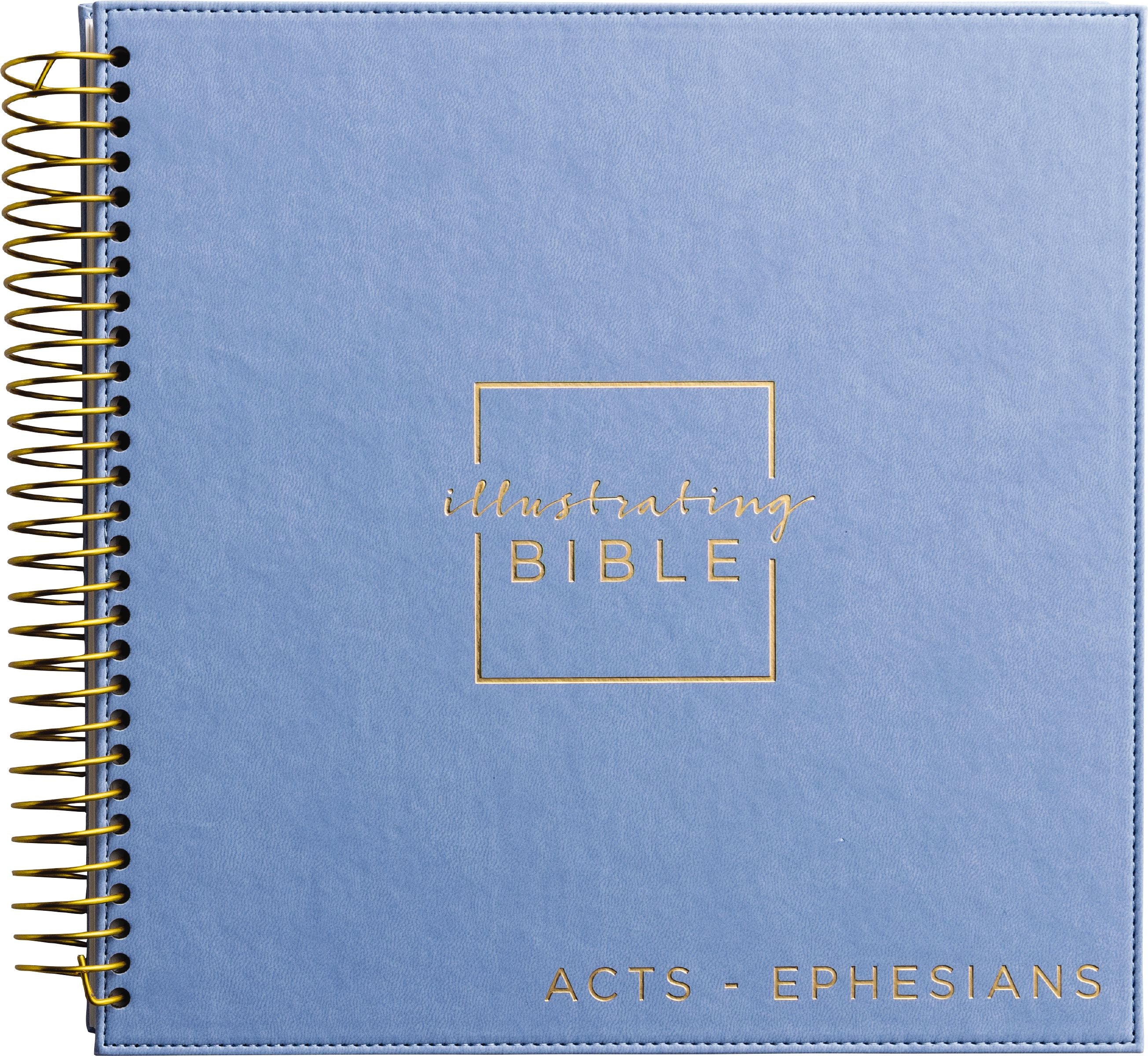 NIV Illustrating Bible, Acts-Ephesians, Faux Leather (Black Letter Edition)