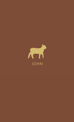John, KJV (In the Word Bible Journal Series)