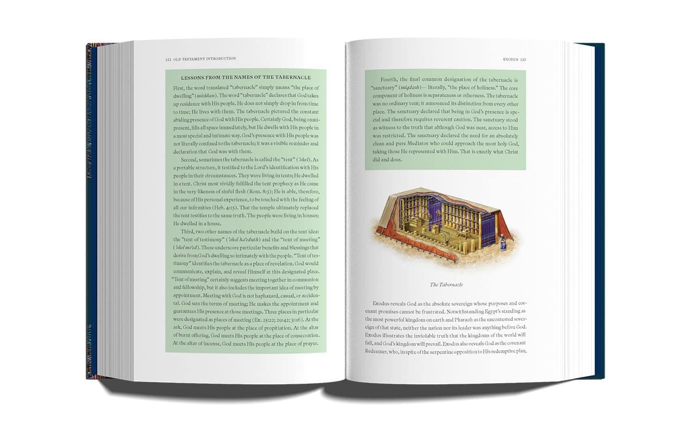 Old Testament Introduction: Back to Basics