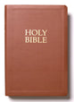 KJVER Gift and Award Holy Bible Deluxe Edition Coffee Brown (Red Letter Edition)