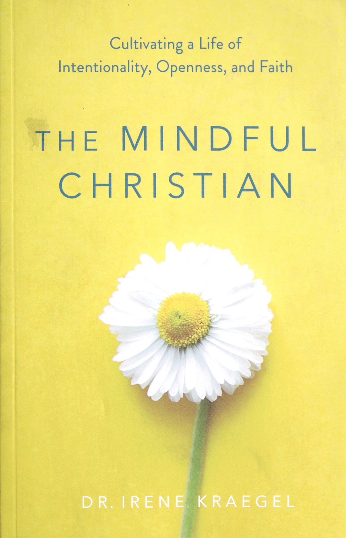 The Mindful Christian: Cultivating a Life of Intentionality, Openness, and Faith
