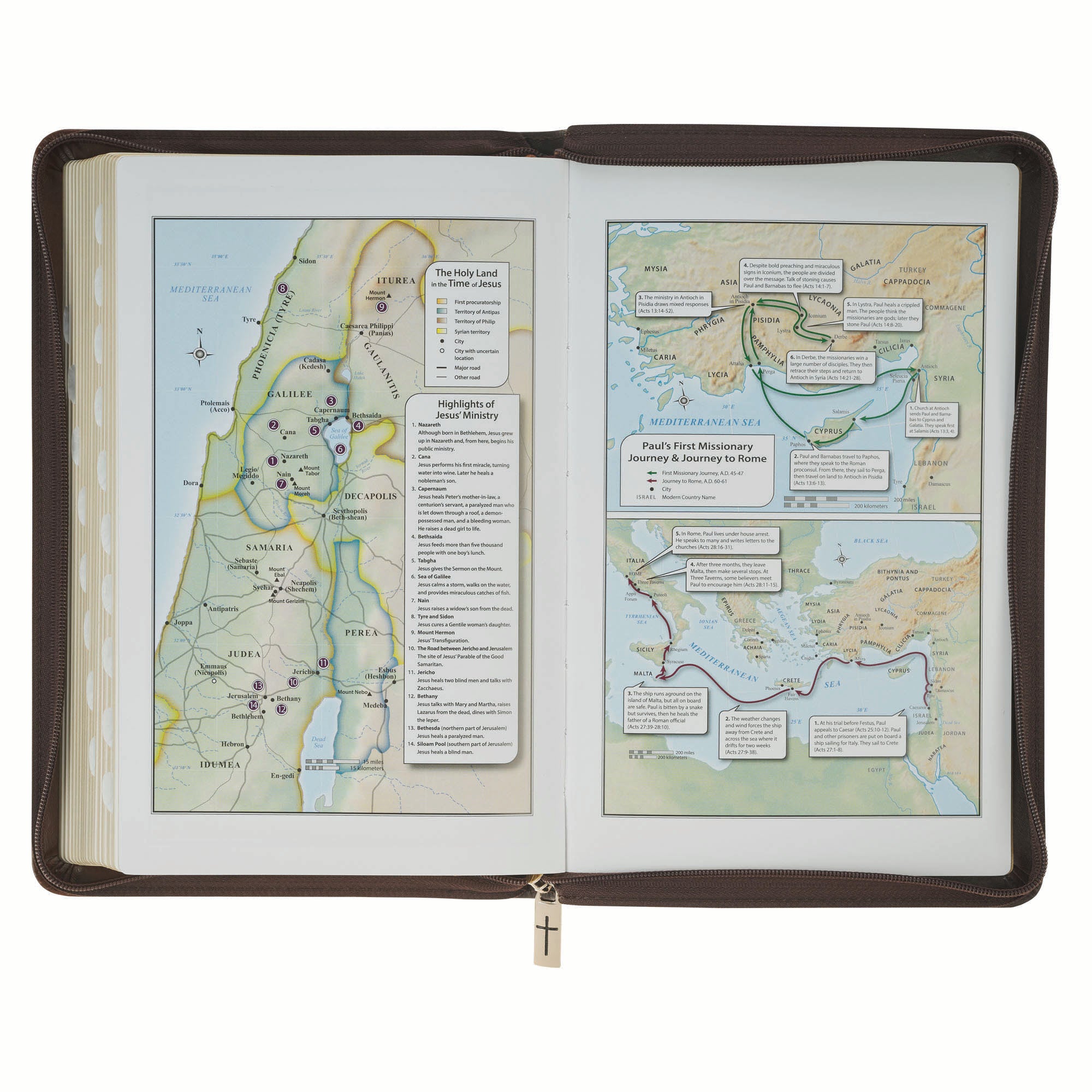 KJV Bible Deluxe Gift Edition, Amazing Grace, Two-tone with Zipper (Isa. 53:5)