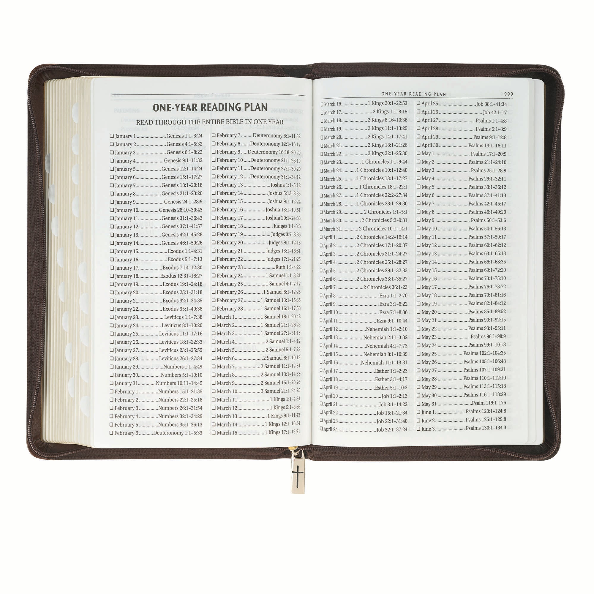 KJV Bible Deluxe Gift Edition, Amazing Grace, Two-tone with Zipper (Isa. 53:5)
