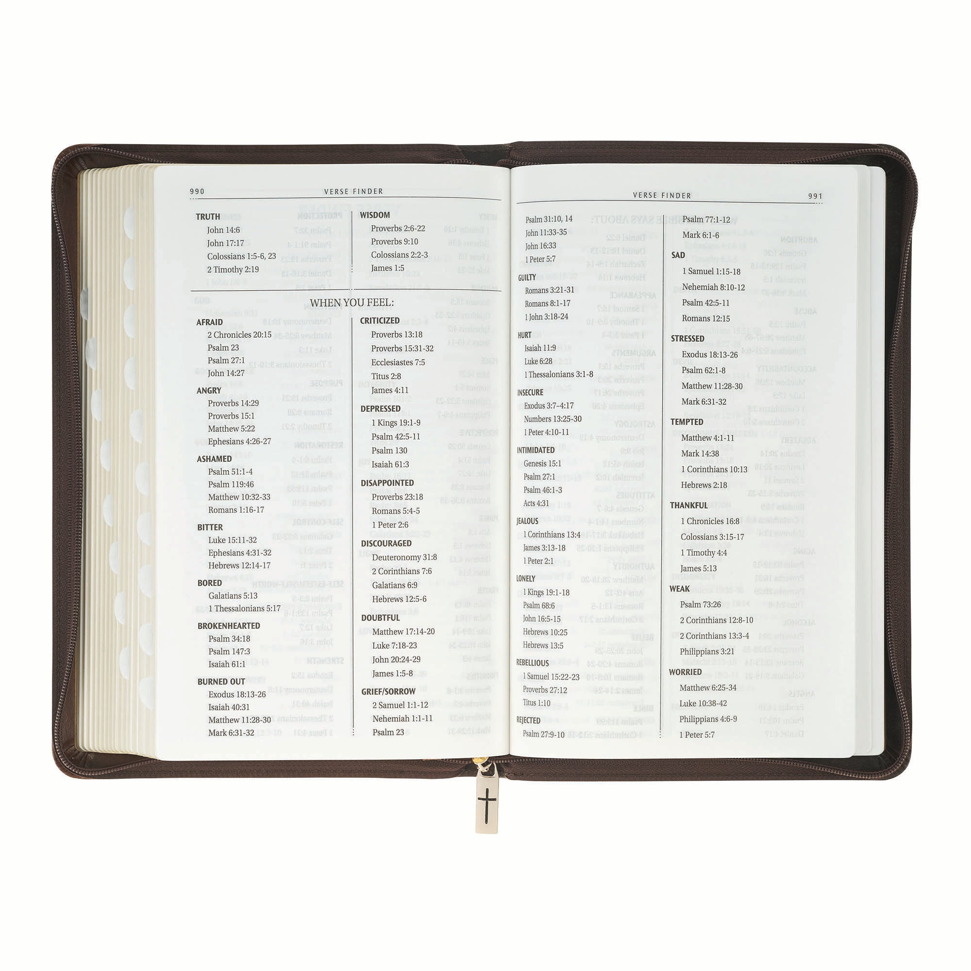 KJV Bible Deluxe Gift Edition, Amazing Grace, Two-tone with Zipper (Isa. 53:5)