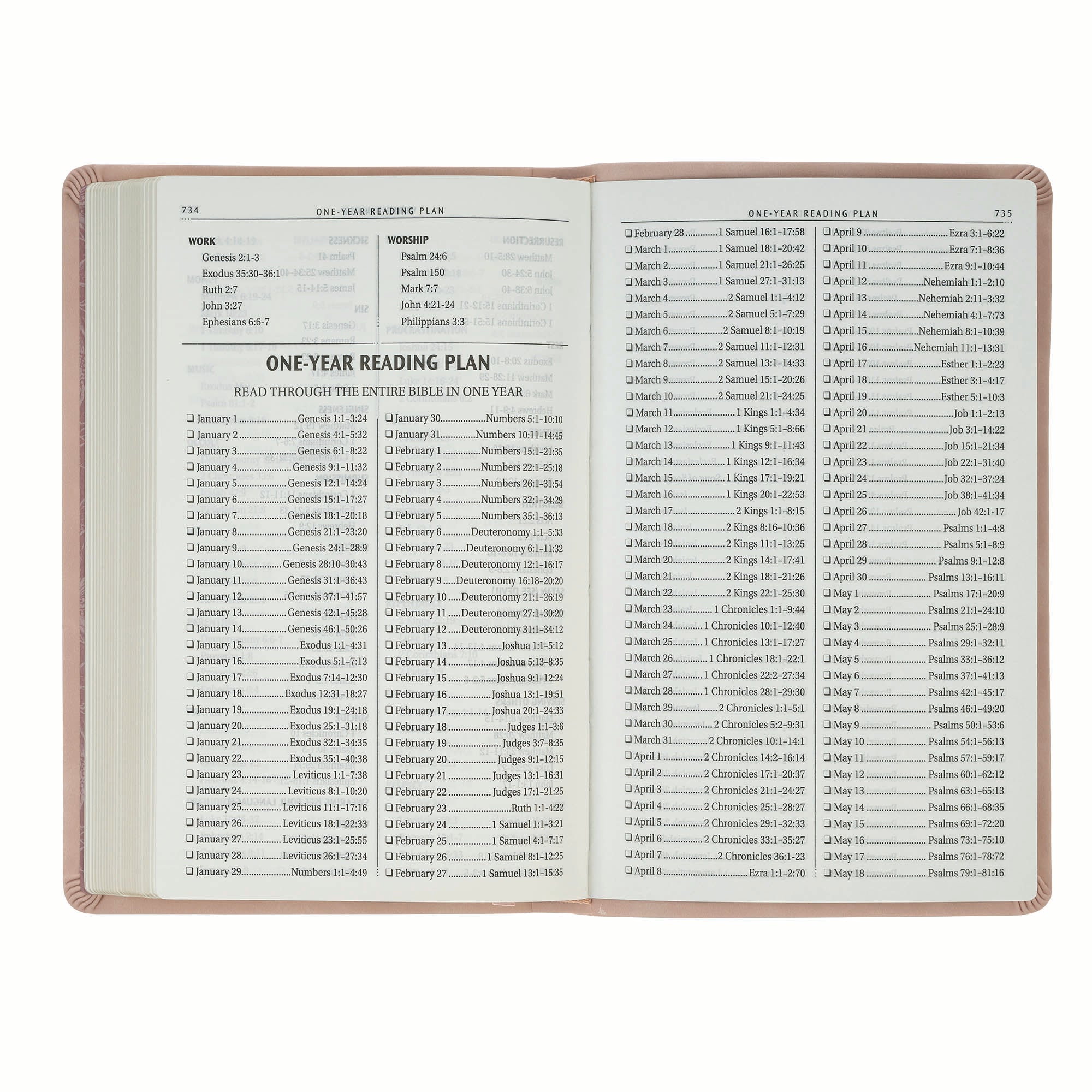 KJV Bible Gift Edition, Blush Pink