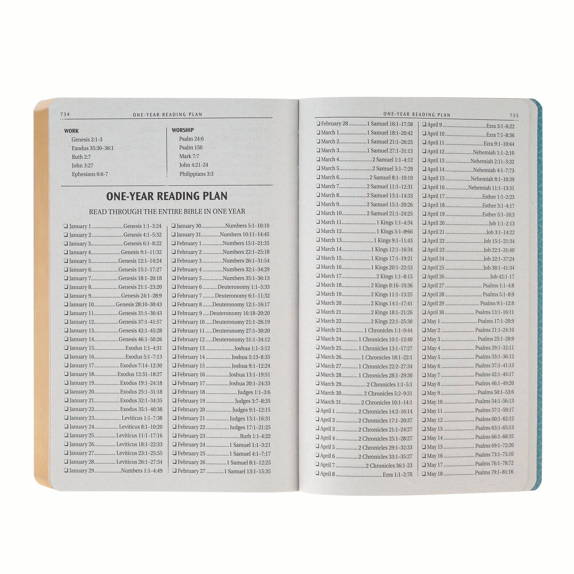 KJV Bible Gift Edition, Teal
