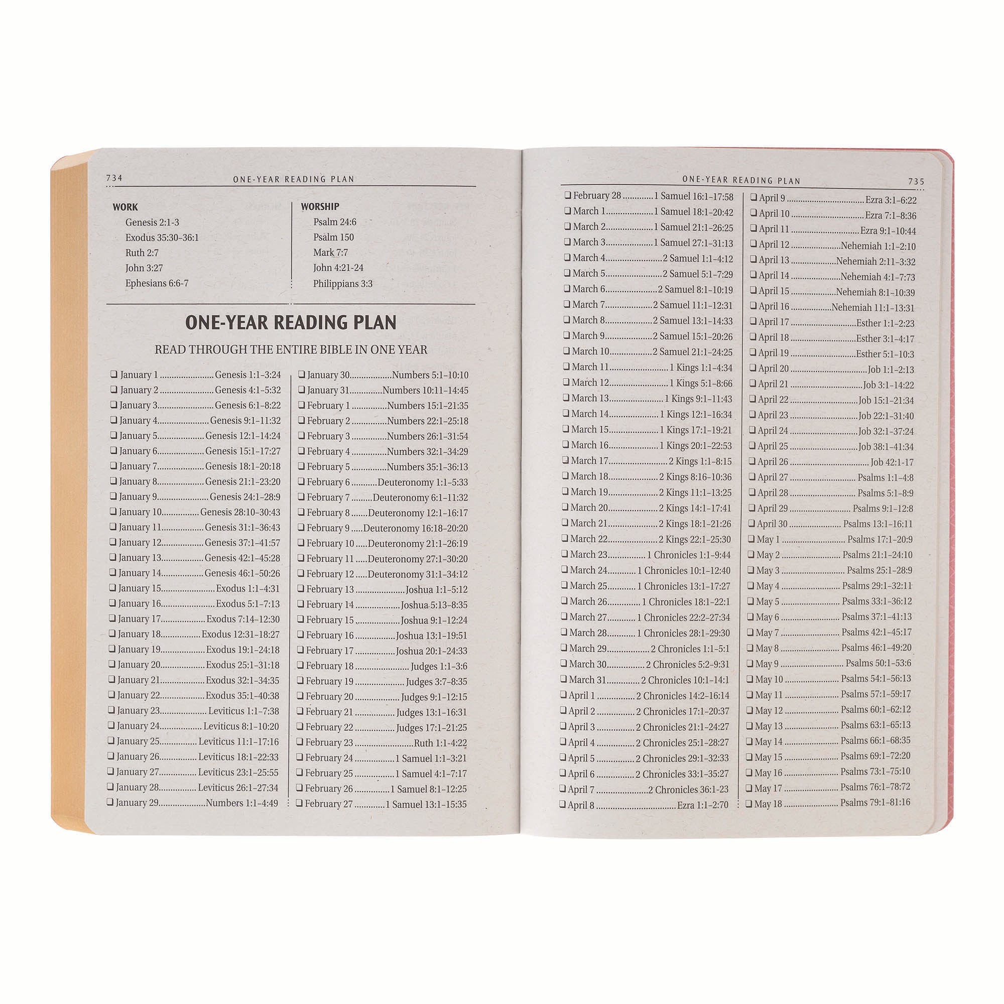 KJV Bible Gift Edition, Pink