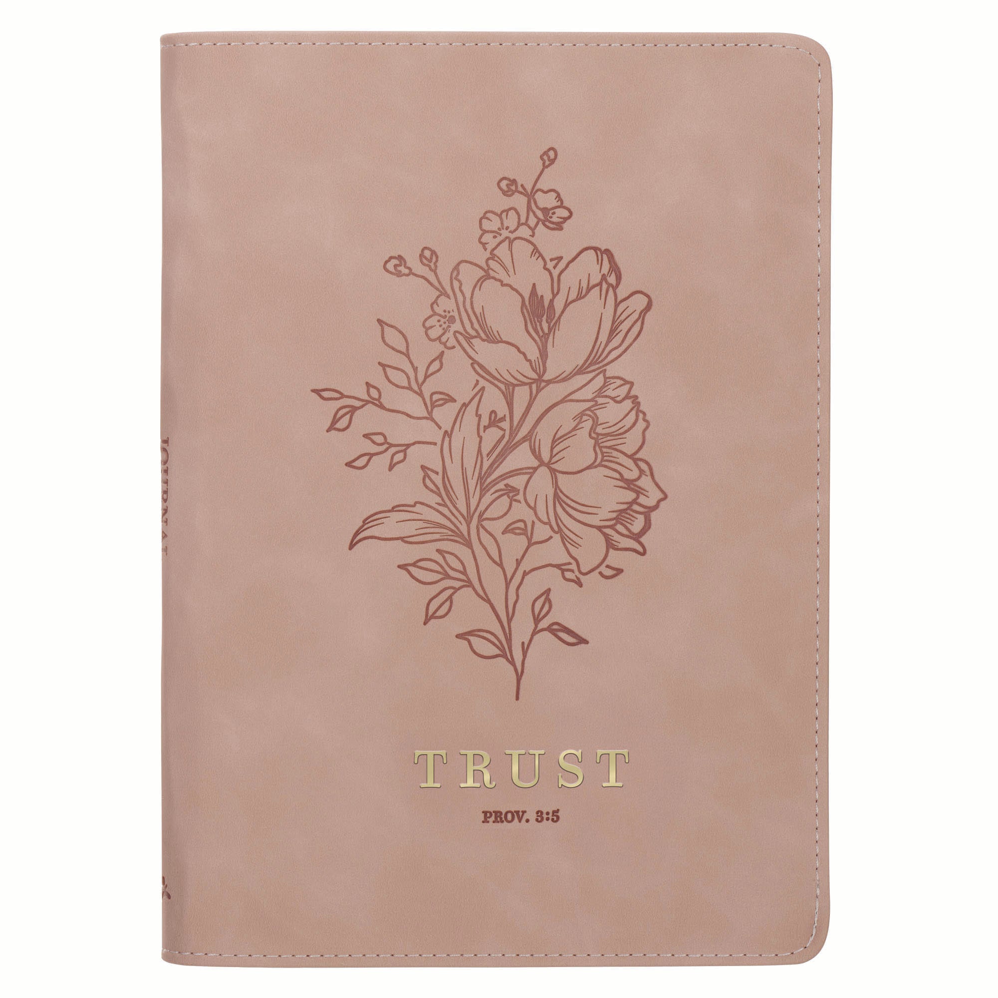 Journal: Pink Trust Prov. 3:5