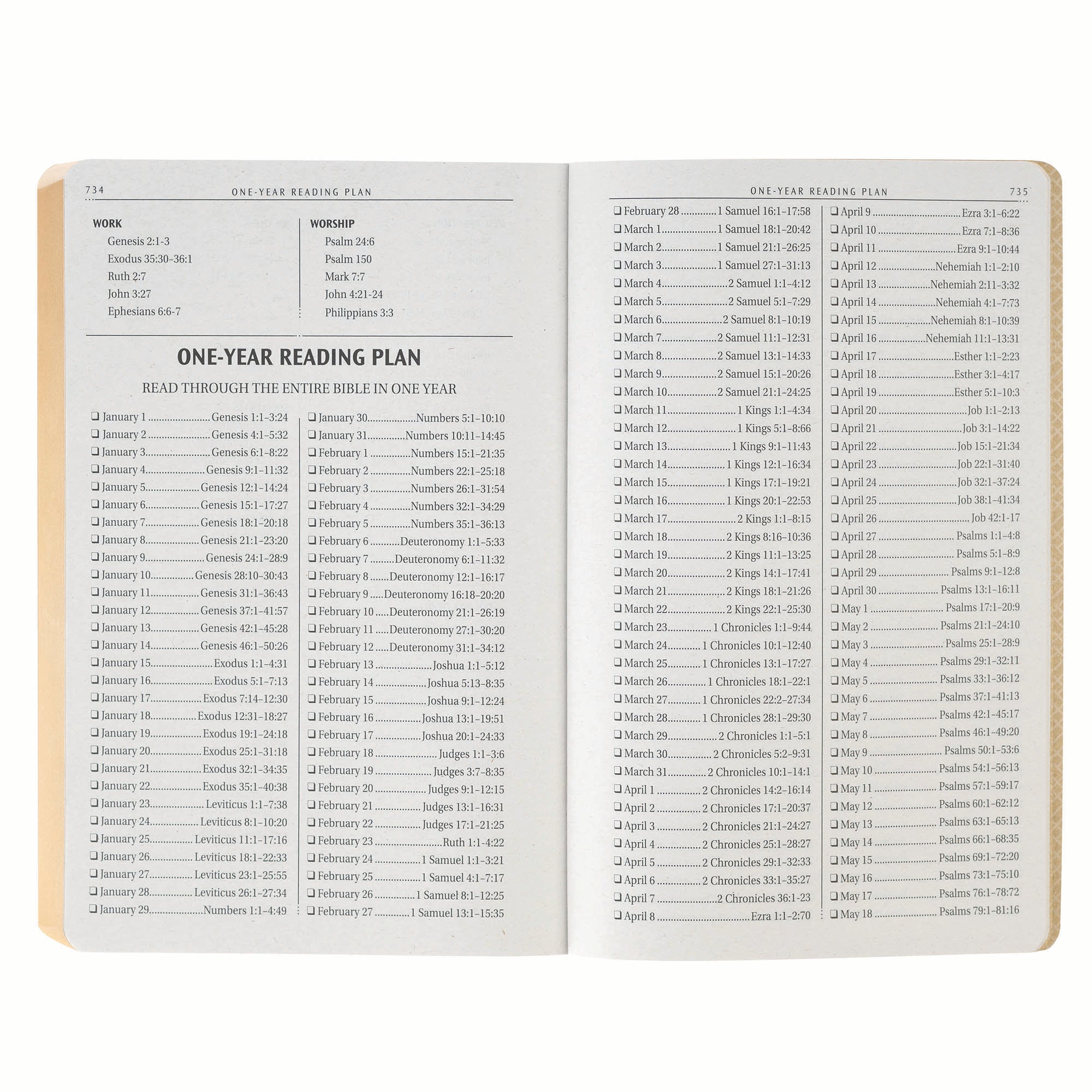 KJV Bible Gift Edition, Brown