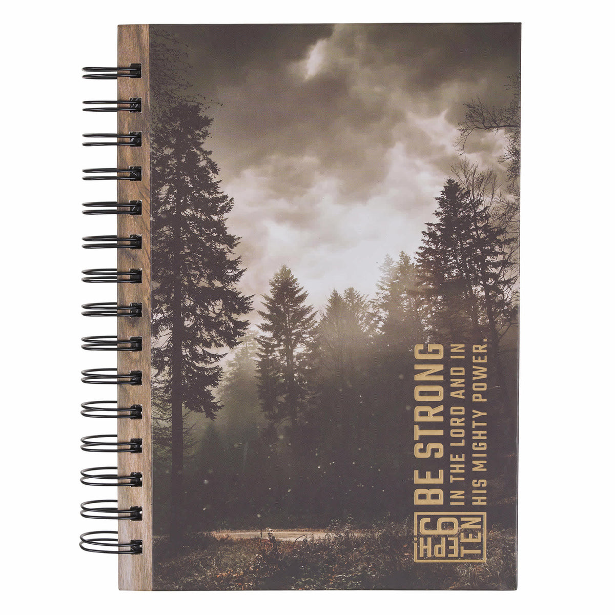 Journal: Brown Be Strong Eph. 6:10