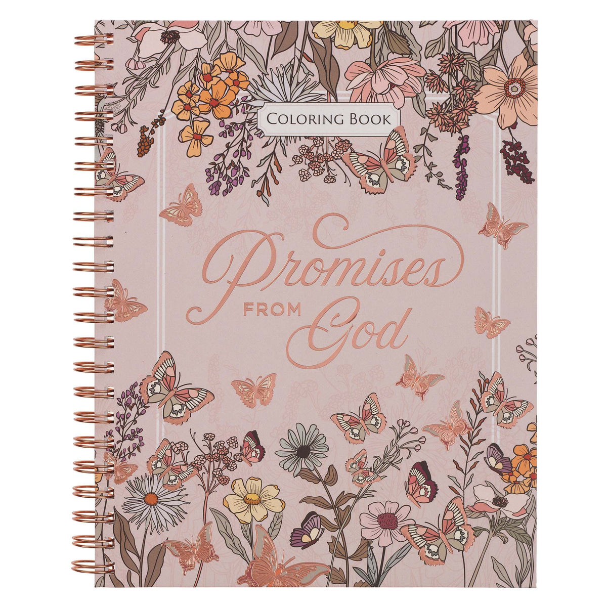 Coloring Book: Promises To Bless Your Heart