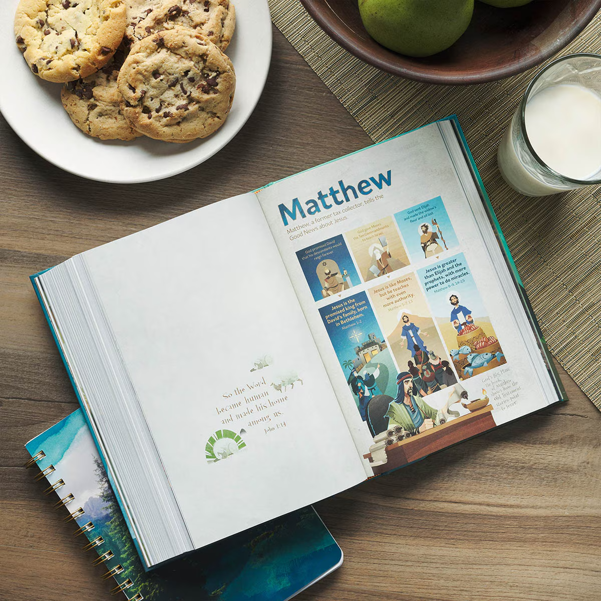 NLT Discovery Bible
