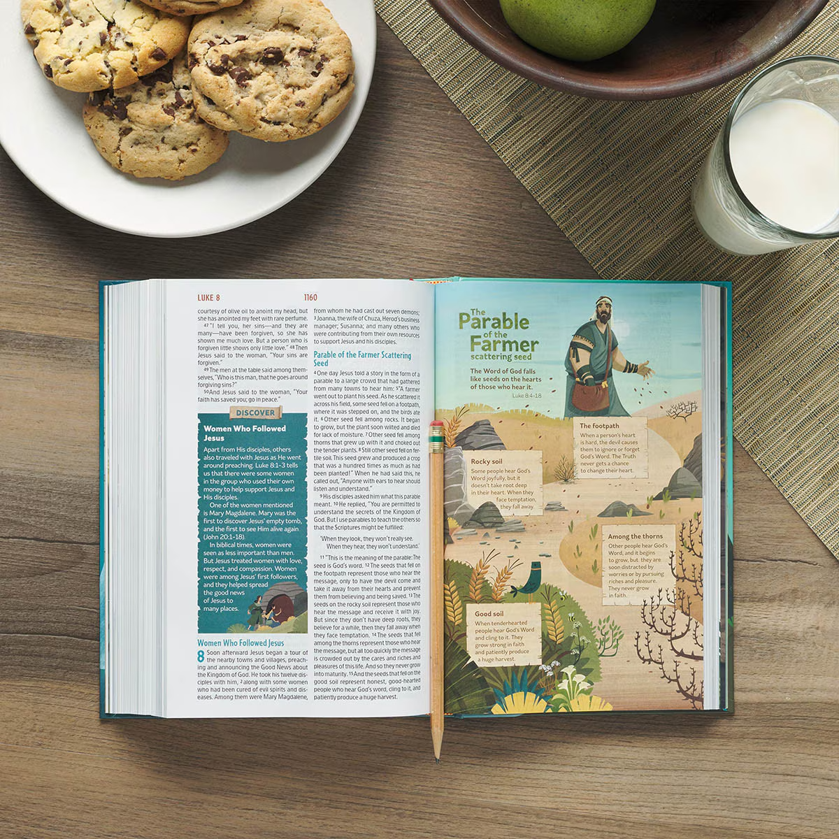 NLT Discovery Bible