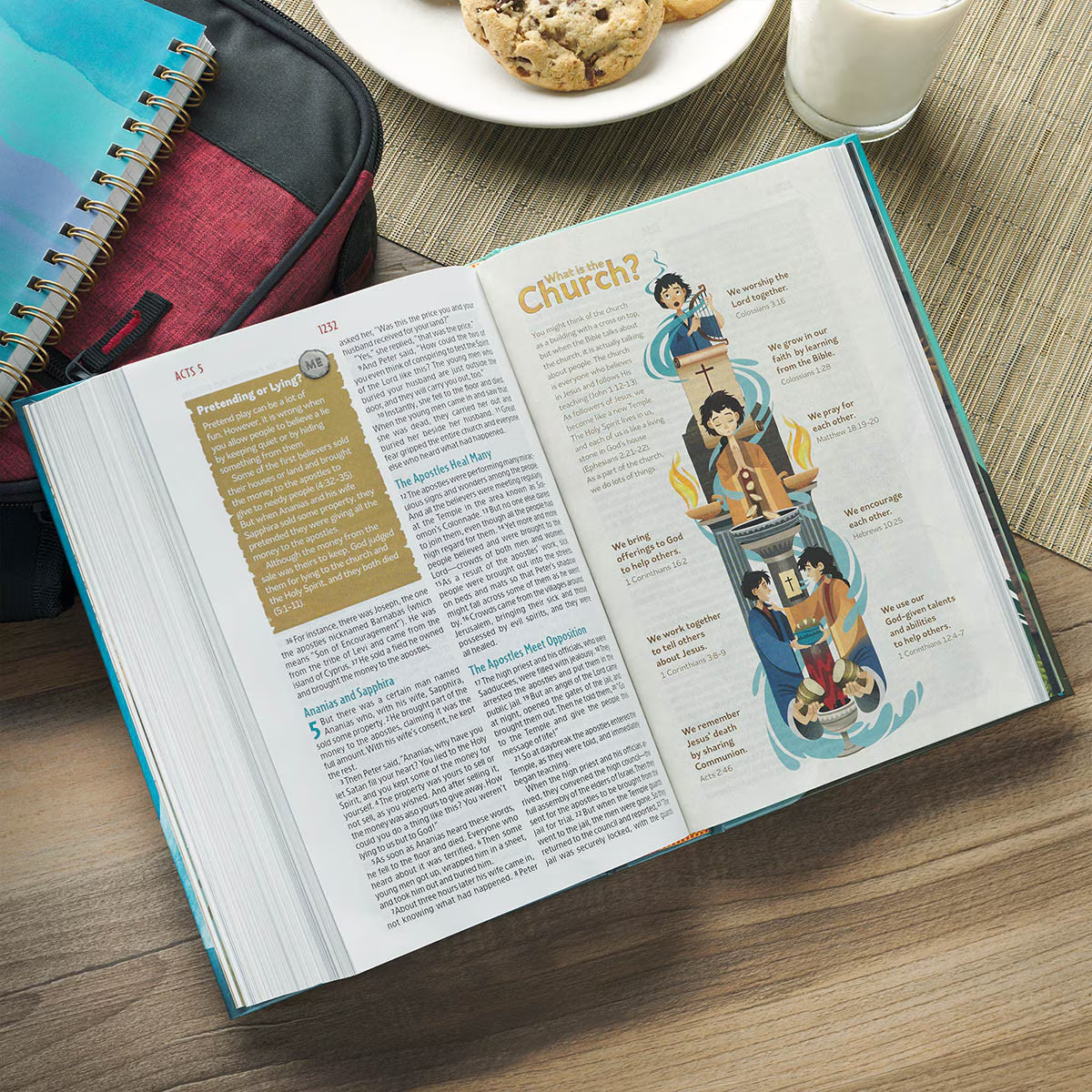 NLT Discovery Bible