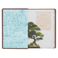 NLT Discovery Bible Brown