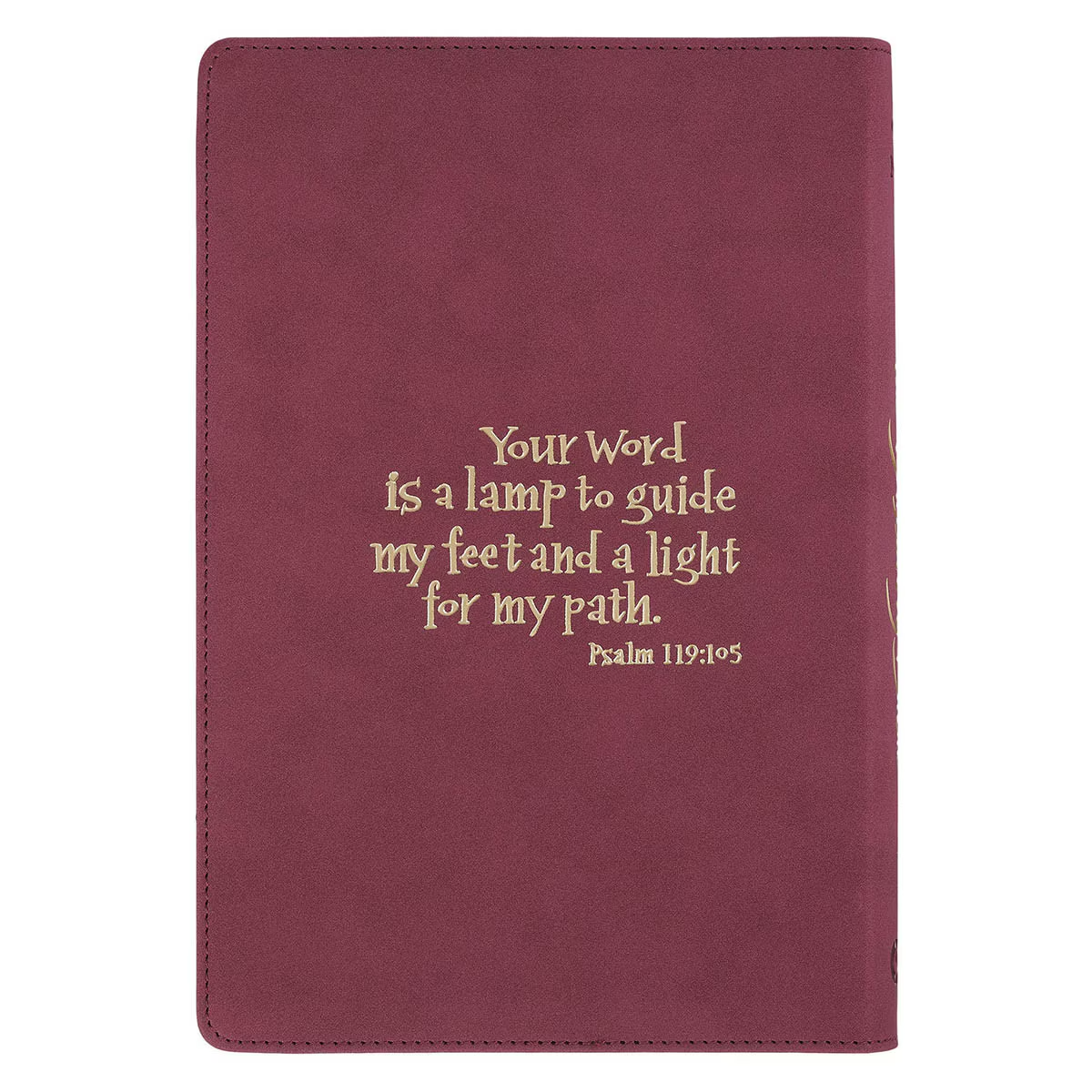NLT Discovery Bible Purple