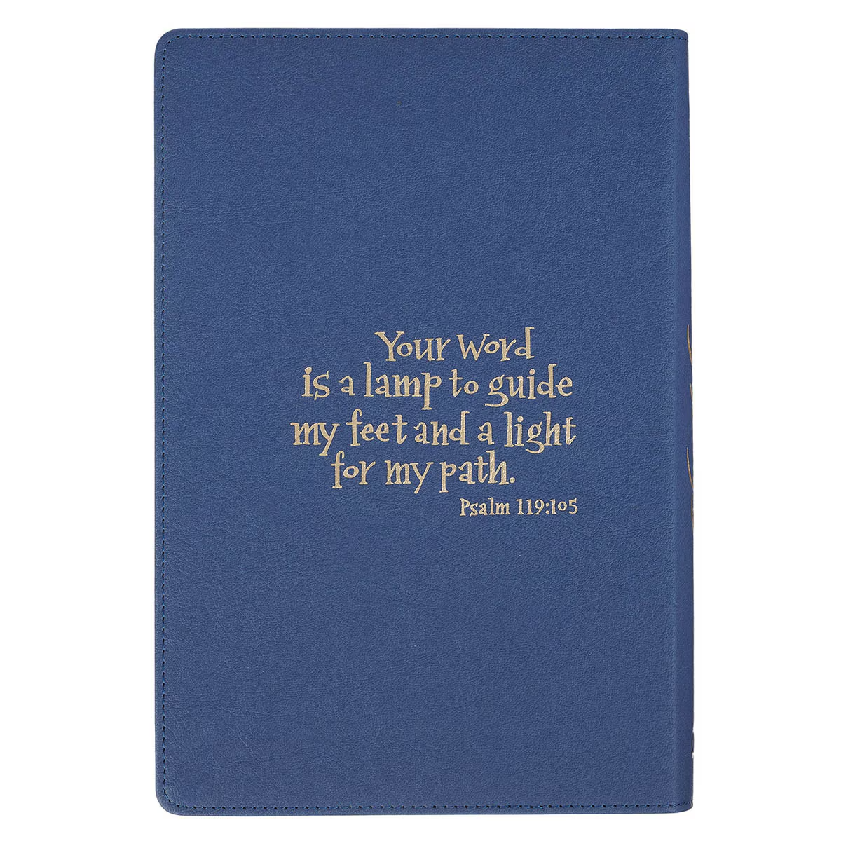 NLT Discovery Bible Navy