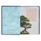 NLT Discovery Bible Navy